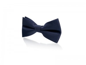 papion-bow-ties-9154